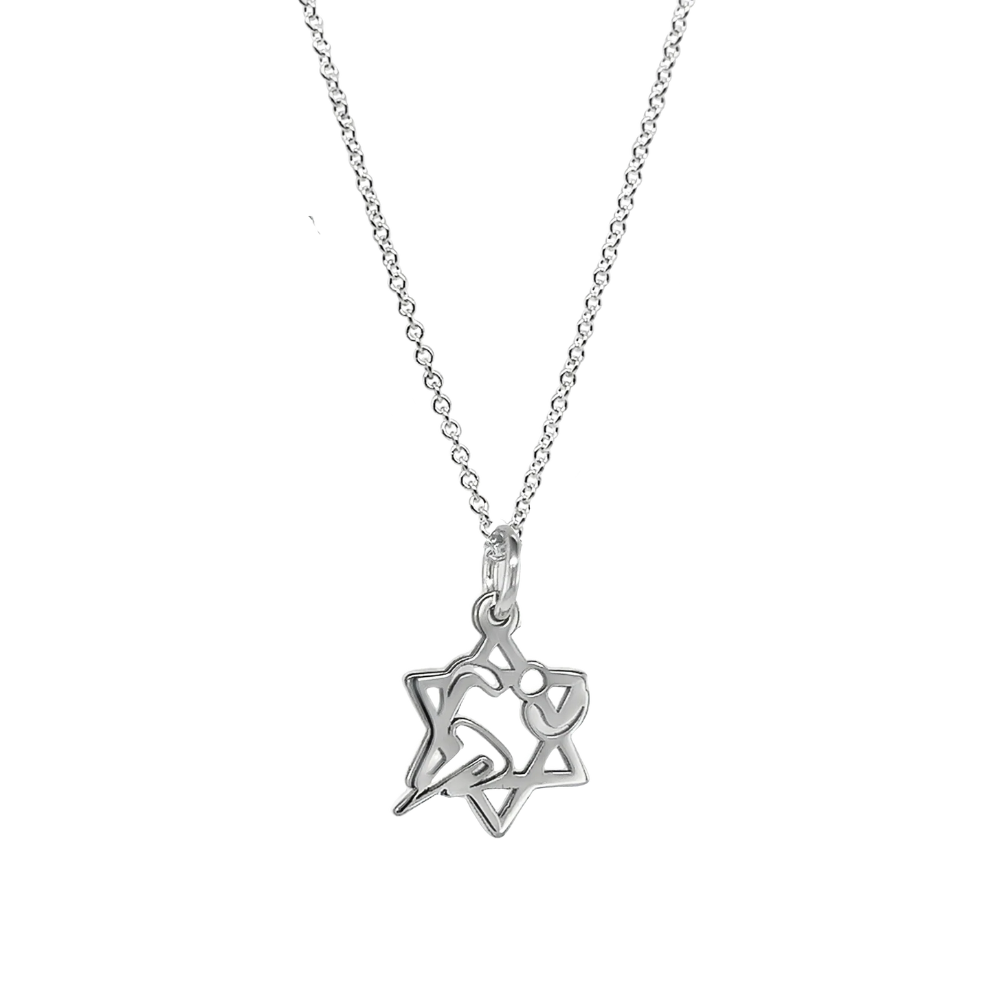 Magen David Charm Necklace by Erica Sara